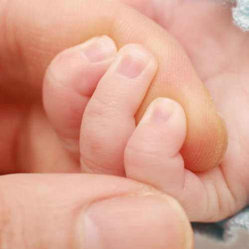 مايسبش ولاده  - لحن/ القس أمجد سعد ذكري