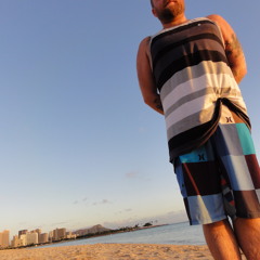 James Hillard Horse Meat Disco December 2011 mix