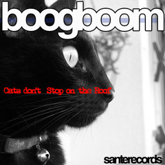boogboom - cats dont stop on the roof (Original Mix)