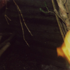 Fake//Forest