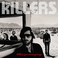 The Killers - When You Were Young (Wille Tannergard Remix)