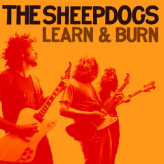 Interview with The Sheepdogs - Round 1