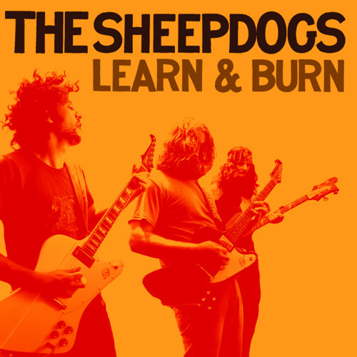 Interview with The Sheepdogs - Round 1