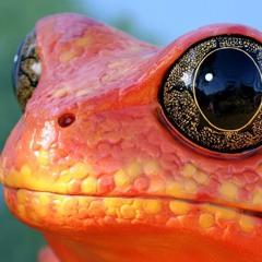 Bassnectar and Excison Mix