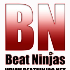 Beat Ninjas - Papa Brings The Noise In Madagascar Snip