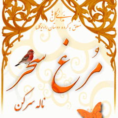 7-Homayon Shajarian-Morghe Sahar