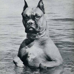 Nocturnal Podcast #1