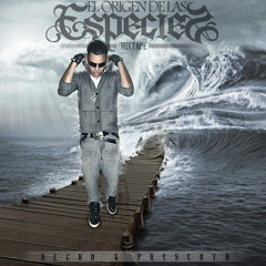 Fonck - El Origen De Las Especies - 08 - Bailando Agresivo (ft Princess & Allan G)