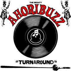 A hori buzz - turnaround (Joe Revell remix)