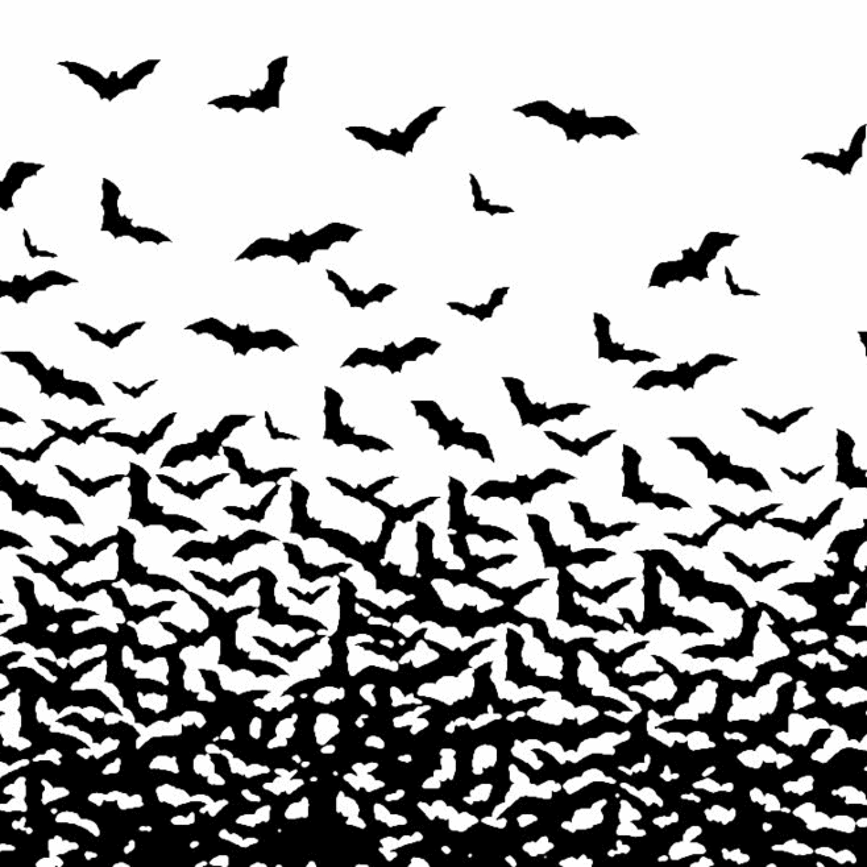 Pirx - Bat Fly episode artwork