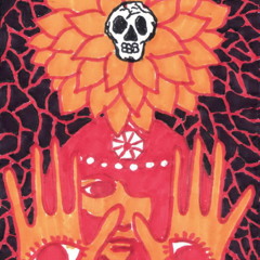 Bear Bones, Lay Low - Proceed with Caution