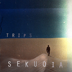 Sekuoia - Something we lost