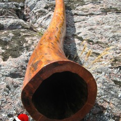 (2) Sound Sample - Didgeridoo de Alamo Blanco - F key