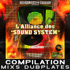 L' ALLIANCE DES " SOUND SYSTEM " | Compilation de Mixs Dubplates