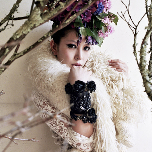 BoA-Hurricane Venus