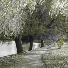 GinxNrG - mistic ambient deep 9-10.12.11