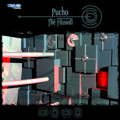 PuCHO - I'm Like a Bird