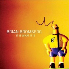 brian bromberg-slap happy,slappy