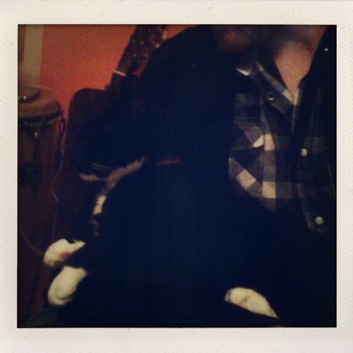 A Tiny Death In The Family