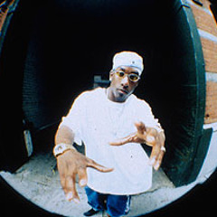 Big L - Flamboyant (Main ING Remix)