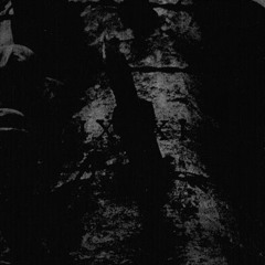 IXXI - Ancient Spirits Are