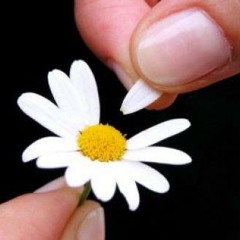 اول حب - حسام الرسام - نصرت البدر