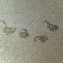 ห่านป่าร่อนพื้นทราย เดี่ยวกู่ฉิน