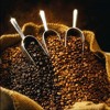 Coffee Bean Mp3
