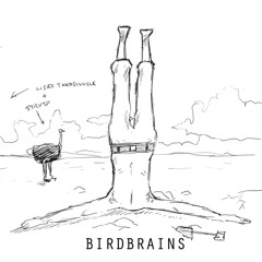 Birdbrains