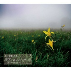 Lusrica - Nocturne