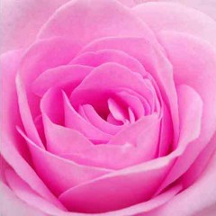 Gugur Bunga - Ismail Marzuki