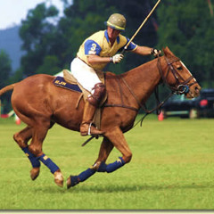 PBSBG "7 days a week"