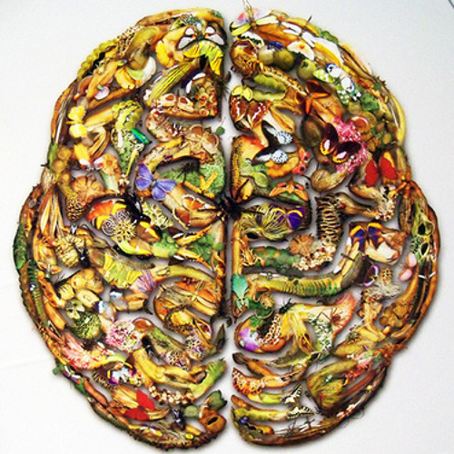 Datavore - Brain Bugs