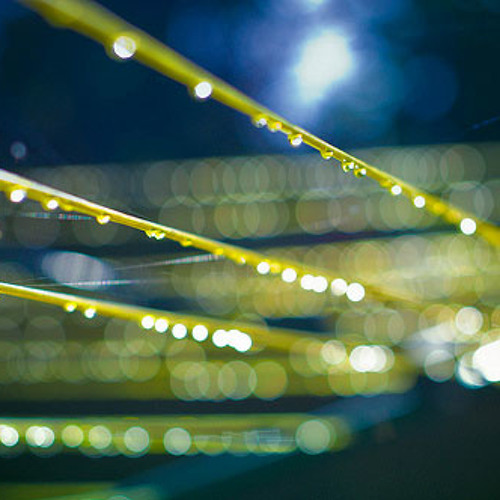 DreamBase - Happy Rain