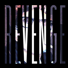 Revenge (bounce)