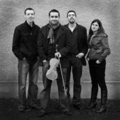 The real Shindig - Nothing Ever Happens