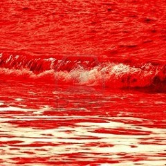 Trapped in the net  *out now on Coal