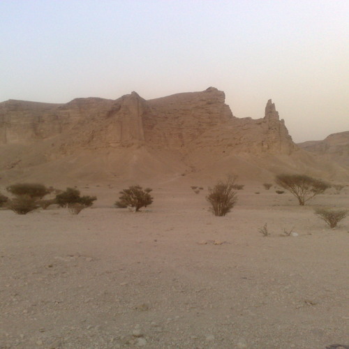 يــــاطويق فاح العبير (للرائع / ناصر السيحاني) شيلة روعه