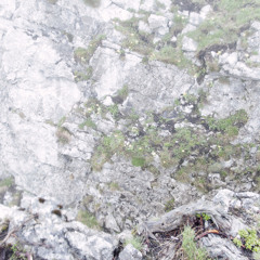 LAFAYETTE "LIGHT BREEZE, CRICKETS" BUVETTE REMIX