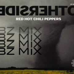 Otherside (Bz Edit)  -  Red Hot Chili Peppers x Avicii x Third Party