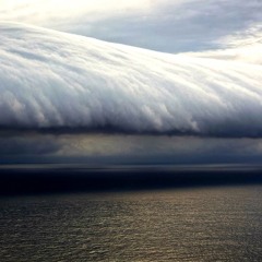 Death of a newborn love