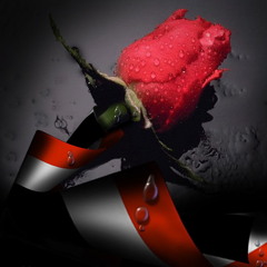 مشاري راشد العفاسي - اليمن