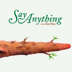 Wow, I Can Get Sexual Too (Say Anything Cover)