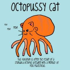 Octopussycat with no legs