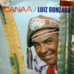 Luiz Gonzaga - Garimpeiro sonhador