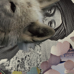 Shuta Hasunuma "VOL" from "wannapunch!"