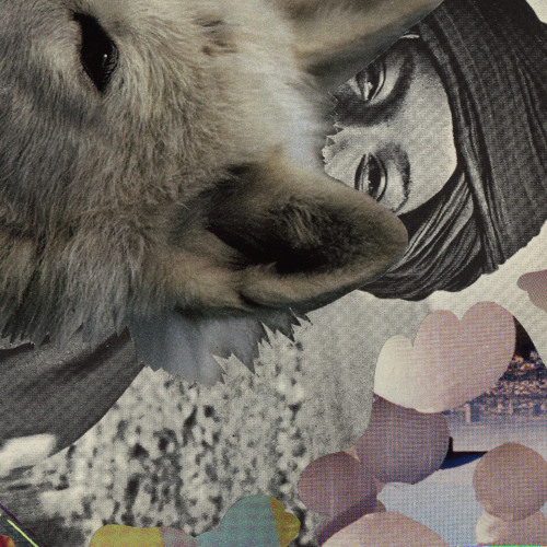 Shuta Hasunuma "VOL" from "wannapunch!"