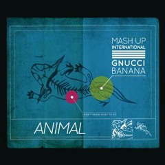 Mash Up International & Gnucci Banana - Animal [Miike Snow cover]