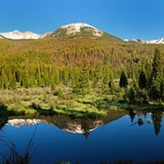 Mile Matter - Clarity