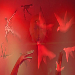 05 She Sees Only Flowers